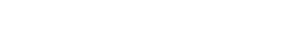 Virtual Officer