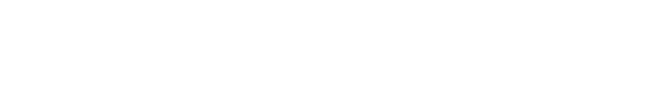 Virtual Officer